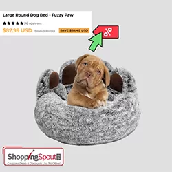 Hot Sale Up to 50% Off on Luxury Dog Pet Items